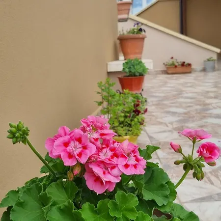 Appartement Luis Penthouse *