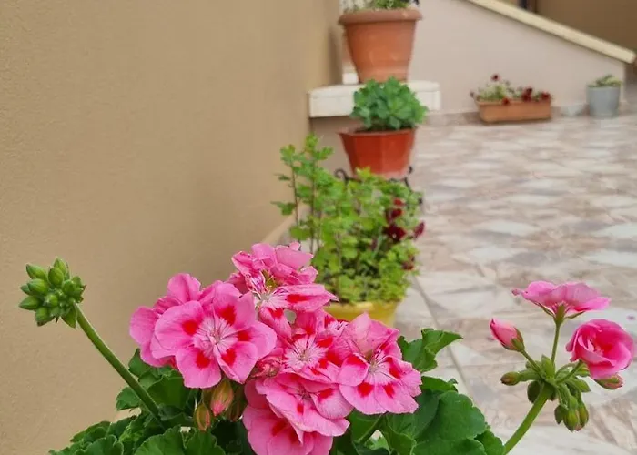 Appartamento Luis Penthouse *